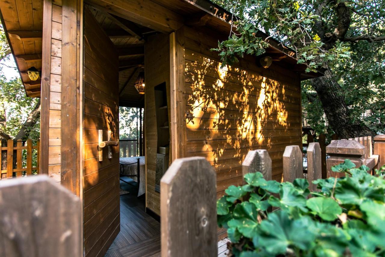 B & B Le Casette Sull'Albero Di Villa Alba メッシーナ エクステリア 写真