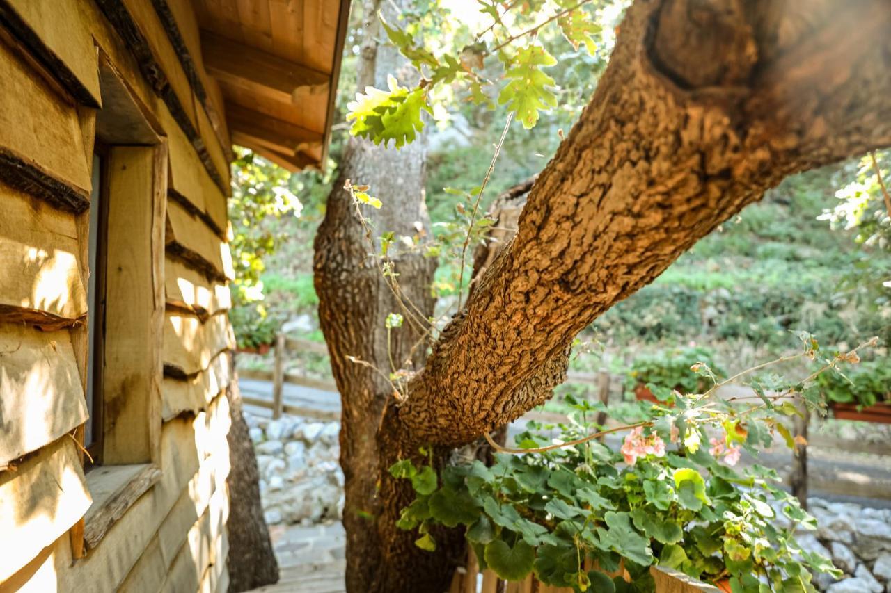 B & B Le Casette Sull'Albero Di Villa Alba メッシーナ エクステリア 写真