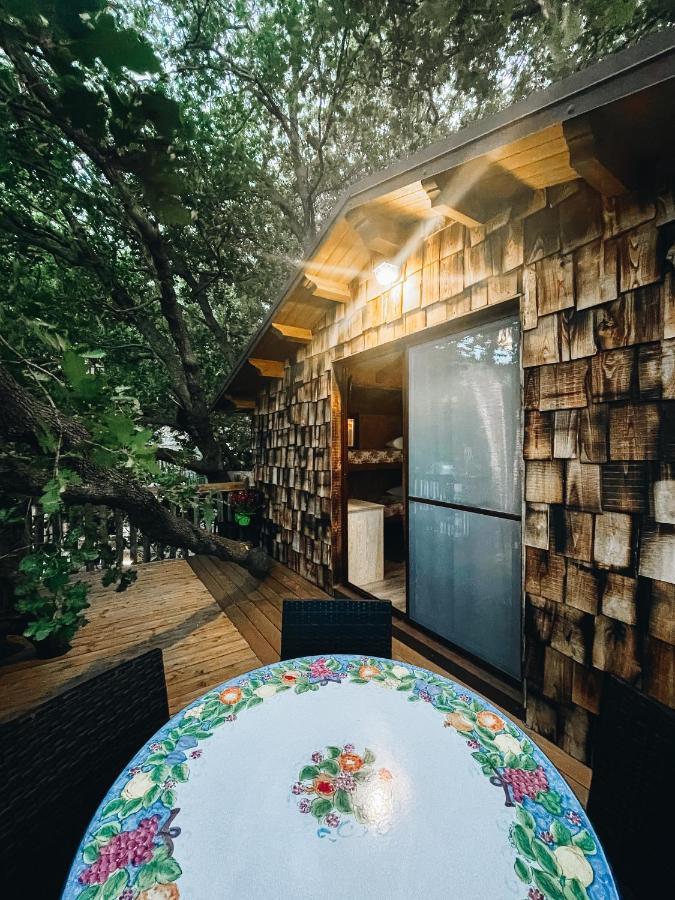 B & B Le Casette Sull'Albero Di Villa Alba メッシーナ エクステリア 写真