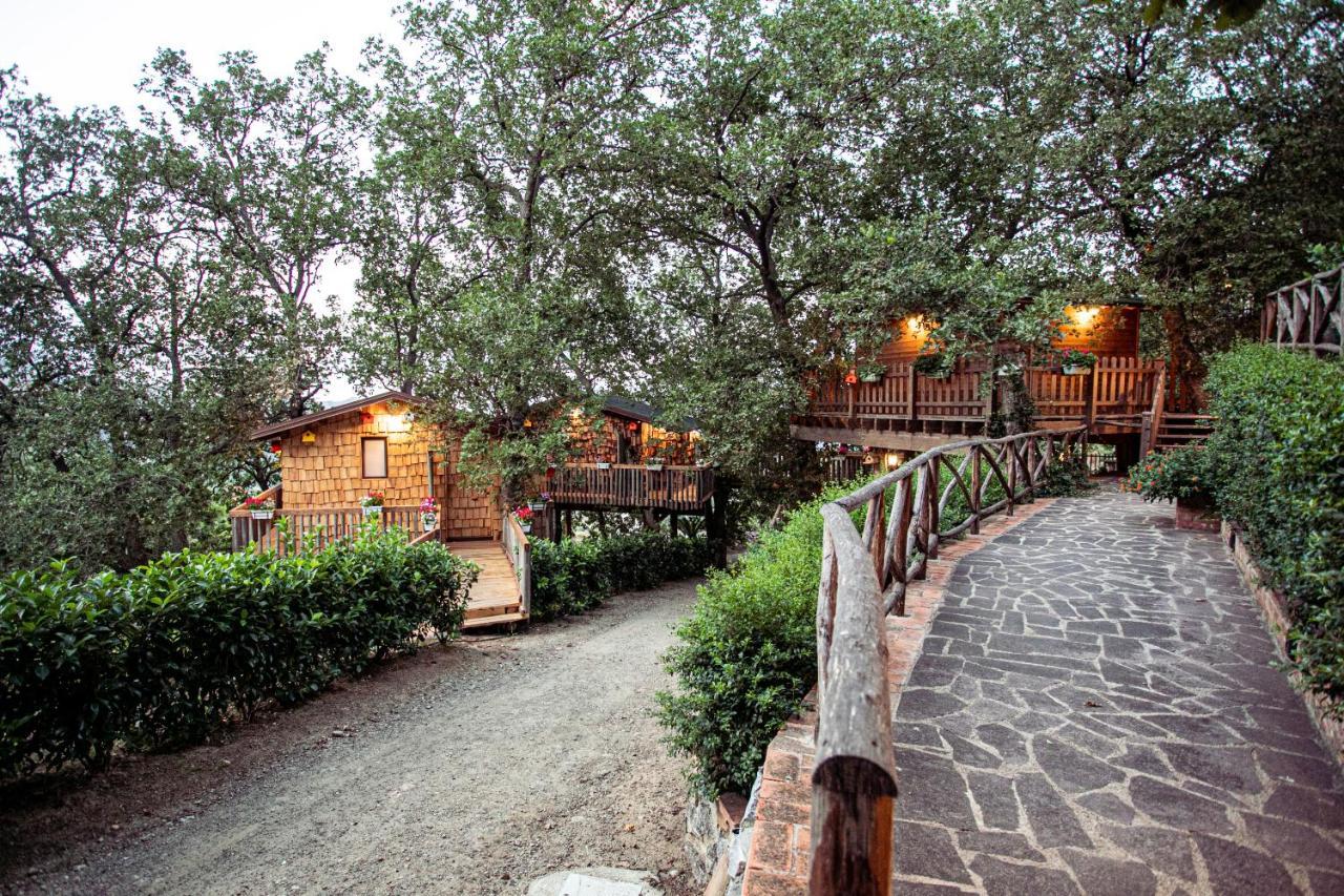 B & B Le Casette Sull'Albero Di Villa Alba メッシーナ エクステリア 写真