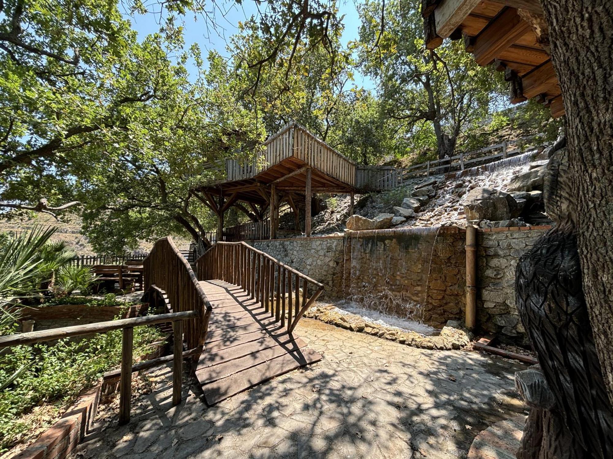 B & B Le Casette Sull'Albero Di Villa Alba メッシーナ エクステリア 写真