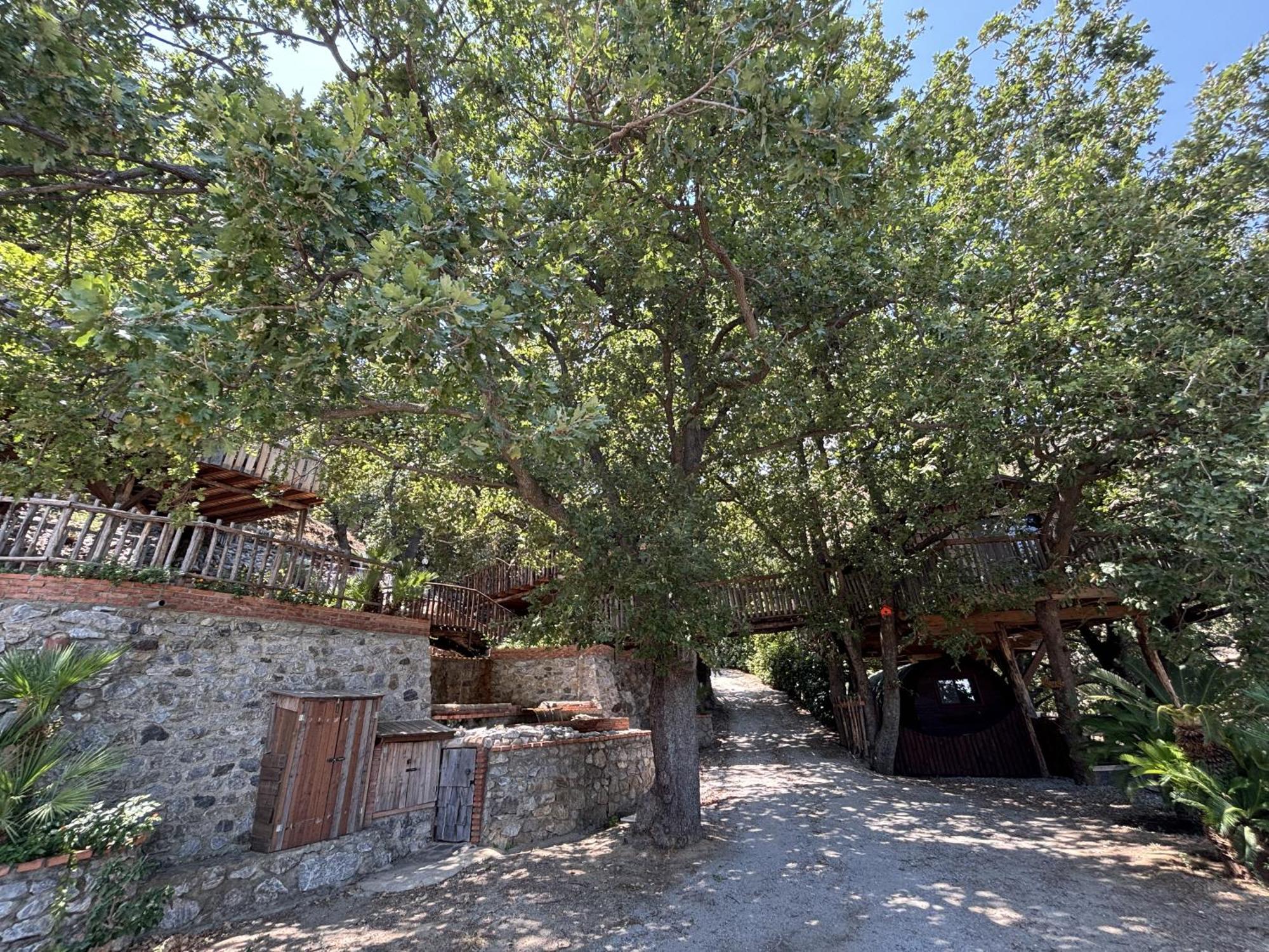 B & B Le Casette Sull'Albero Di Villa Alba メッシーナ エクステリア 写真